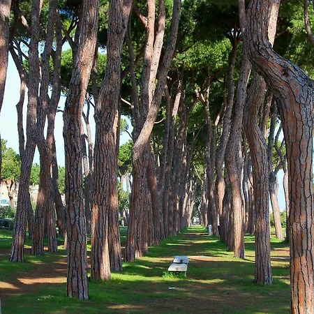 Venere Vacanza * Pineto